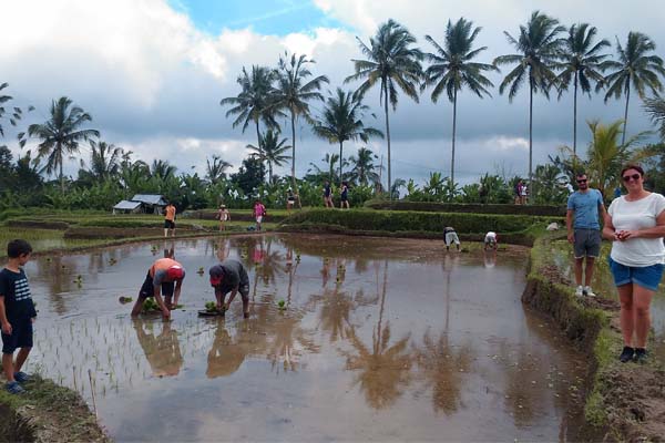 Ubud Ricefield Trekking Tour, Rice Paddies Trekking Tour, Bali Ubud Rice Paddy Trekking, Trekking through rice terraced fields, Ubud Rice Field Walk, Ubud Trekking - Ubud Rice Field Walk, Rice Field Walking Tour, Bali Rice Field and Village Tour, Rice Field Trekking in Ubud, Bali Rural, Hill, Rice fields Private Day Trekking Tour, Rice Paddy - Village - Eco Nature Walk, Rice Fields Trekking Trips, Rice Fields, from https://www.balibreezetours.com ,Beautiful Traditional balinese Dance, Traditional Balinese Lunch, Bali Adventure, Bali Activity, More Fun, Amazing Adventures in Bali, Promo Packages Tours, Book Now, 100% Owned and Proudly Operated, Local Balinese People, Bali Breeze Tours