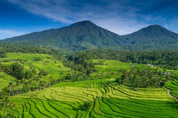 Jatiluwih Rice Field Cycling Tour, Bali Cycling Tours from https://www.balibreezetours.com , Bali Bike Tour, Bali Cycle Tour, Bali Bicycle Tour, Bali Mountain Biking Tour, Ubud Cycling Tour, Jatiluwih Rice Terrace from https://www.balibreezetours.com, Unesco Rice Terrace, Sunset Temple, Beautiful Scenery, Bali Breeze Tours