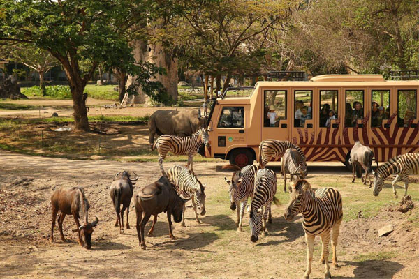 Bali Safari & Marine Park, Bali Safari Entrance Fee, Jungle Hopper Package at Bali Safari Park, Bali Animal Park, Bali Cycling Tours from https://www.balibreezetours.com , Ubud Bike Tour, eBikes Bali Tours, Ubud eBikes Cycling Tour, Ubud Bicycle Tour, Bali Cycling Tours, Ubud Cycling Tours, Bali Bike Tours, Cycling Tours, Bike Tours, Cycle Tours, Bicycle Tours, Mountain Bike Ride from https://www.balibreezetours.com , Bali Bike Tour, Bali Cycle Tour, Bali Bicycle Tour, Kintamani Downhill Mountain Biking Tour, Mountain Biking, Bali Breeze Tours Company, Promo Ubud Bike Packages Tours, Book Now Bike Tour, 100% Owned and Proudly Operated, Local Balinese People, Bali Breeze Tours