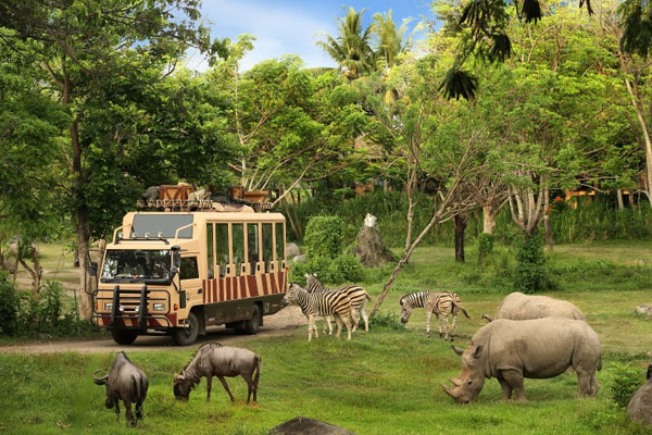 Bali Safari & Marine Park, Bali Safari Entrance Fee, Jungle Hopper Package at Bali Safari Park, Bali Animal Park, Bali Cycling Tours from https://www.balibreezetours.com , Ubud Bike Tour, eBikes Bali Tours, Ubud eBikes Cycling Tour, Ubud Bicycle Tour, Bali Cycling Tours, Ubud Cycling Tours, Bali Bike Tours, Cycling Tours, Bike Tours, Cycle Tours, Bicycle Tours, Mountain Bike Ride from https://www.balibreezetours.com , Bali Bike Tour, Bali Cycle Tour, Bali Bicycle Tour, Kintamani Downhill Mountain Biking Tour, Mountain Biking, Bali Breeze Tours Company, Promo Ubud Bike Packages Tours, Book Now Bike Tour, 100% Owned and Proudly Operated, Local Balinese People, Bali Breeze Tours