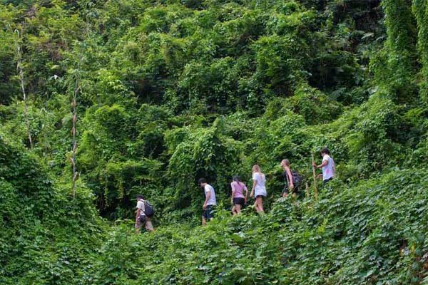 Bali Jungle Trekking Tour, Green Jungle Trekking Tours, Bali Jungle Hiking Tour, Jungle Trek - Eco Nature Walk, Bali Jungle Trekking and Bedugul Tour, Jungle Private Trekking Tour, Eco Nature Walk, from https://www.balibreezetours.com , Bali Adventure, Bali Activity, More Fun, Amazing Adventures in Bali, Promo Packages Tours, Book Now, 100% Owned and Proudly Operated, Local Balinese People, Bali Breeze Tours