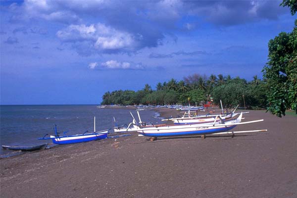 Lovina Beach, Bali's Dolphin Playground in North Bali,  Lovina Beach Entrance fee, Black Sand, Lovina Village, Bali Cycling Tours from https://www.balibreezetours.com , Ubud Bike Tour, eBikes Bali Tours, Ubud eBikes Cycling Tour, Ubud Bicycle Tour, Bali Cycling Tours, Ubud Cycling Tours, Bali Bike Tours, Cycling Tours, Bike Tours, Cycle Tours, Bicycle Tours, Mountain Bike Ride from https://www.balibreezetours.com , Bali Bike Tour, Bali Cycle Tour, Bali Bicycle Tour, Kintamani Downhill Mountain Biking Tour, Mountain Biking, Bali Breeze Tours Company, Promo Ubud Bike Packages Tours, Book Now Bike Tour, 100% Owned and Proudly Operated, Local Balinese People, Bali Breeze Tours