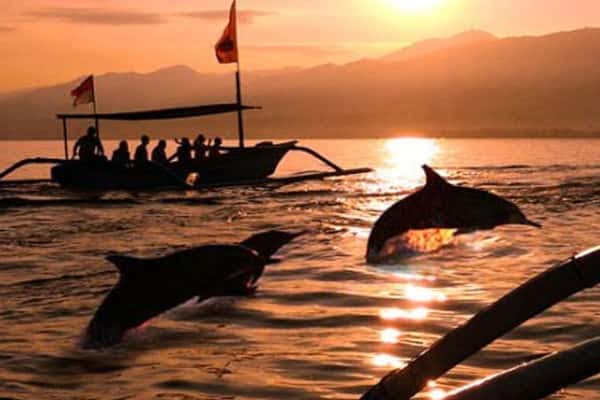 Lovina Beach, Bali's Dolphin Playground in North Bali, Lovina Beach Entrance fee, Black Sand, Lovina Village, Bali Cycling Tours from https://www.balibreezetours.com , Ubud Bike Tour, eBikes Bali Tours, Ubud eBikes Cycling Tour, Ubud Bicycle Tour, Bali Cycling Tours, Ubud Cycling Tours, Bali Bike Tours, Cycling Tours, Bike Tours, Cycle Tours, Bicycle Tours, Mountain Bike Ride from https://www.balibreezetours.com , Bali Bike Tour, Bali Cycle Tour, Bali Bicycle Tour, Kintamani Downhill Mountain Biking Tour, Mountain Biking, Bali Breeze Tours Company, Promo Ubud Bike Packages Tours, Book Now Bike Tour, 100% Owned and Proudly Operated, Local Balinese People, Bali Breeze Tours